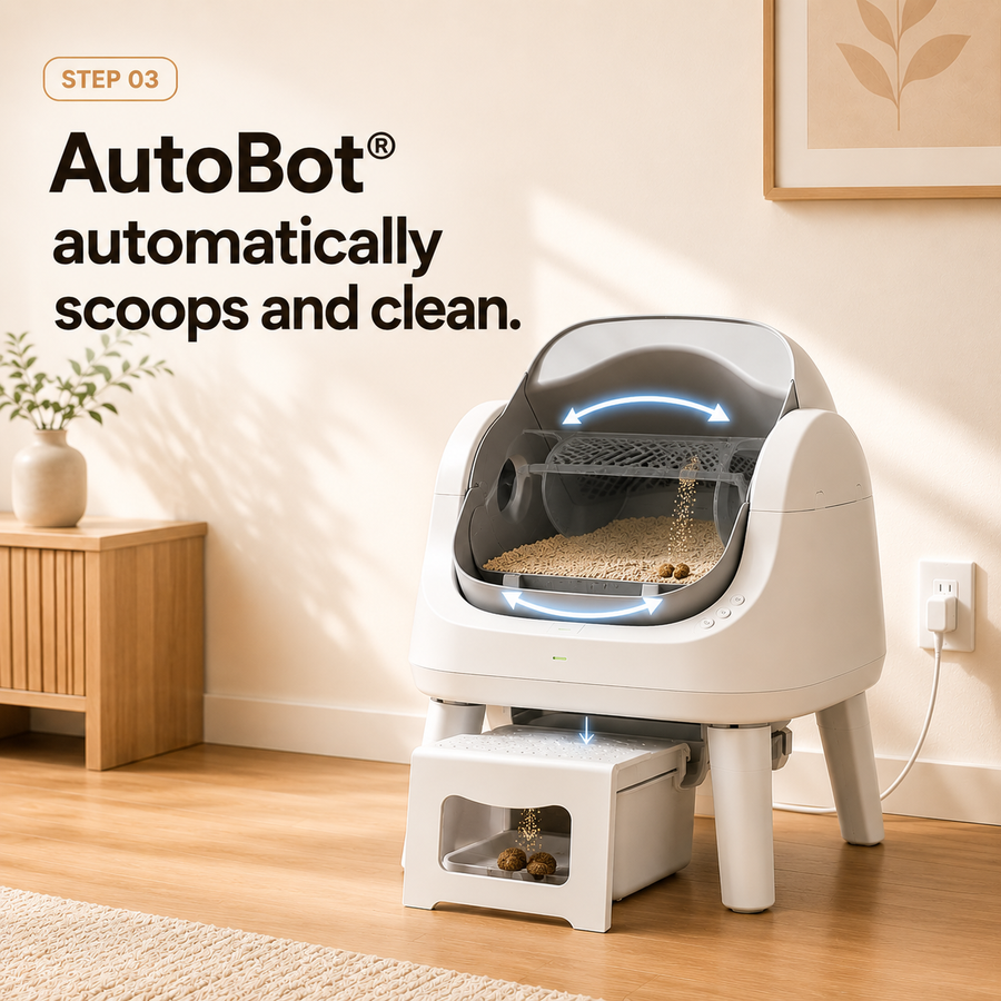 Step 3. Automatically Scoops