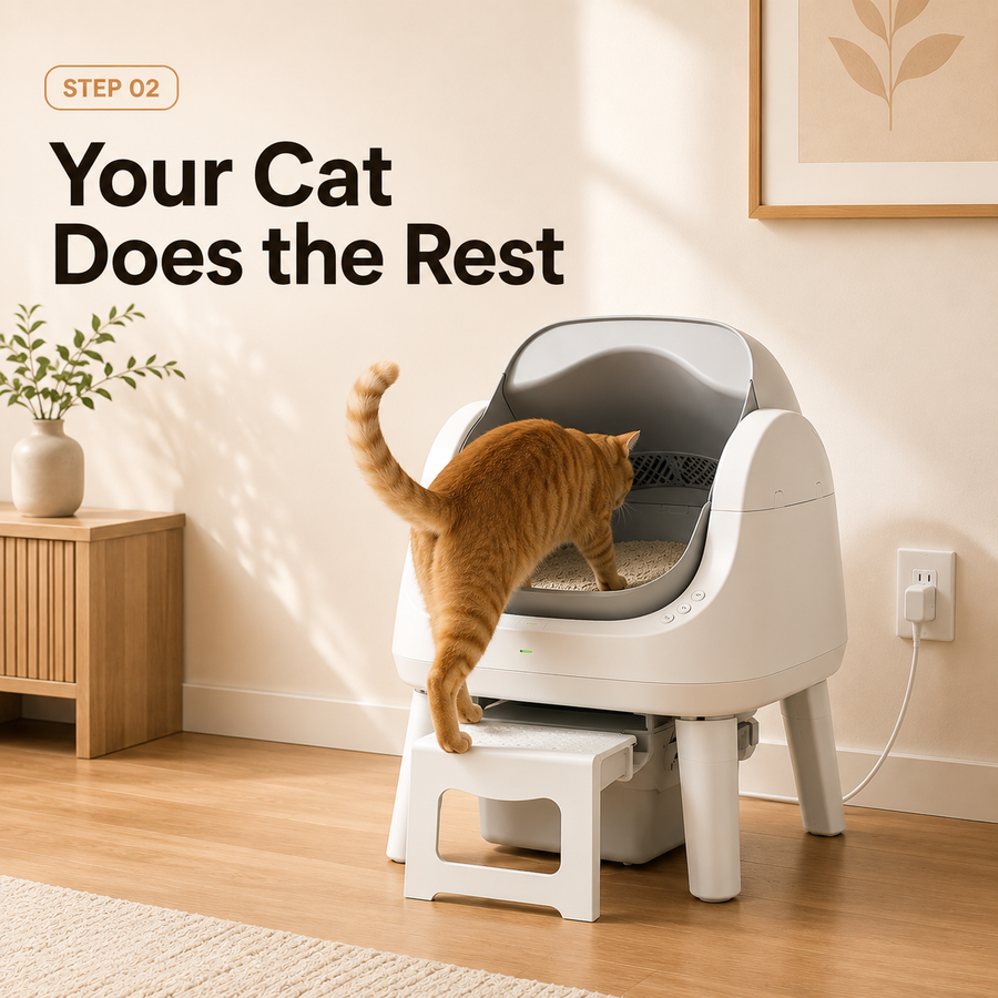 Step 2. Cat Uses It